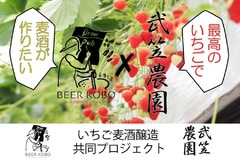 【支援者求む！】クラウドファンディング　 〜家飲みに潤いを〜 醸造家20人で開発　いちごビールをお届け